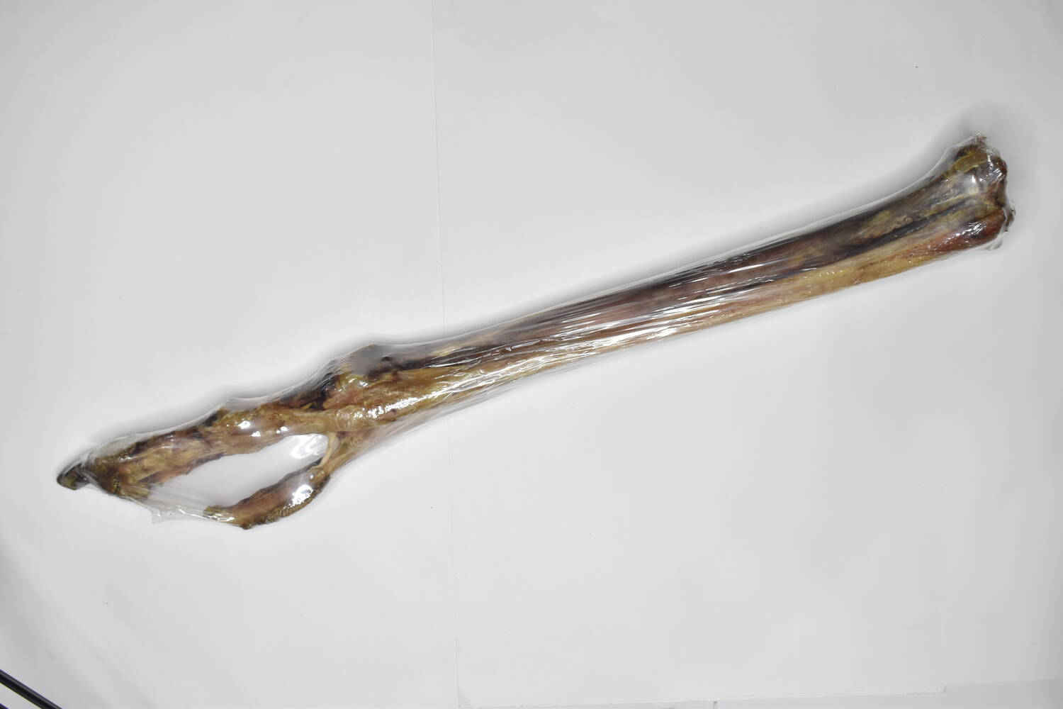 تشویقی سگ قلم شتر مرغ ماتیار